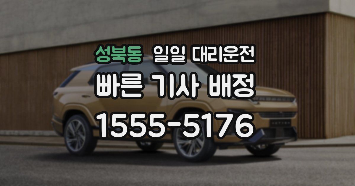 성북동 일일 대리운전