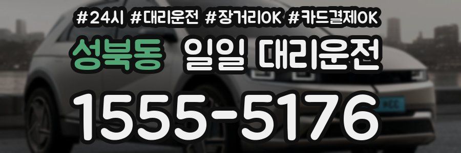 성북동 일일 대리운전