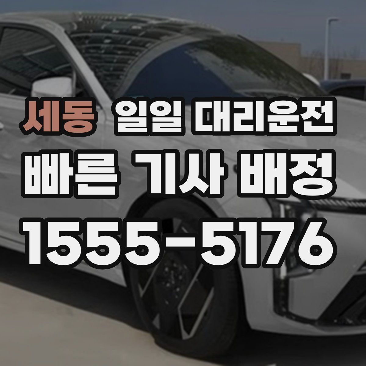 세동 일일 대리운전