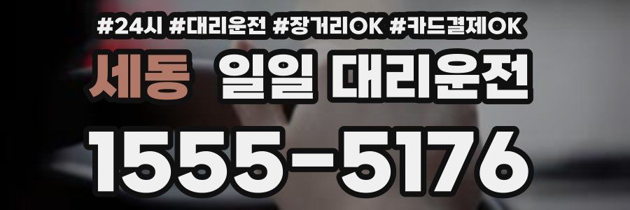 세동 일일 대리운전