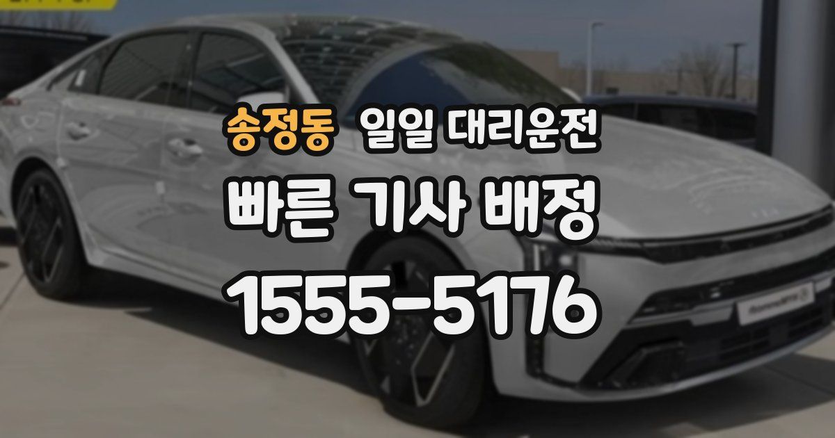 송정동 일일 대리운전