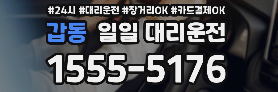 갑동 일일 대리운전