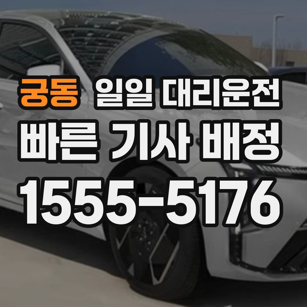 궁동 일일 대리운전