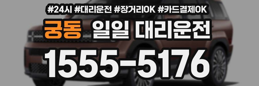 궁동 일일 대리운전