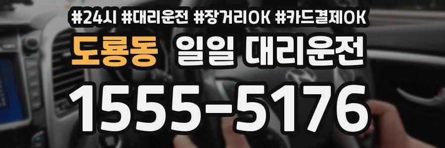 도룡동 일일 대리운전