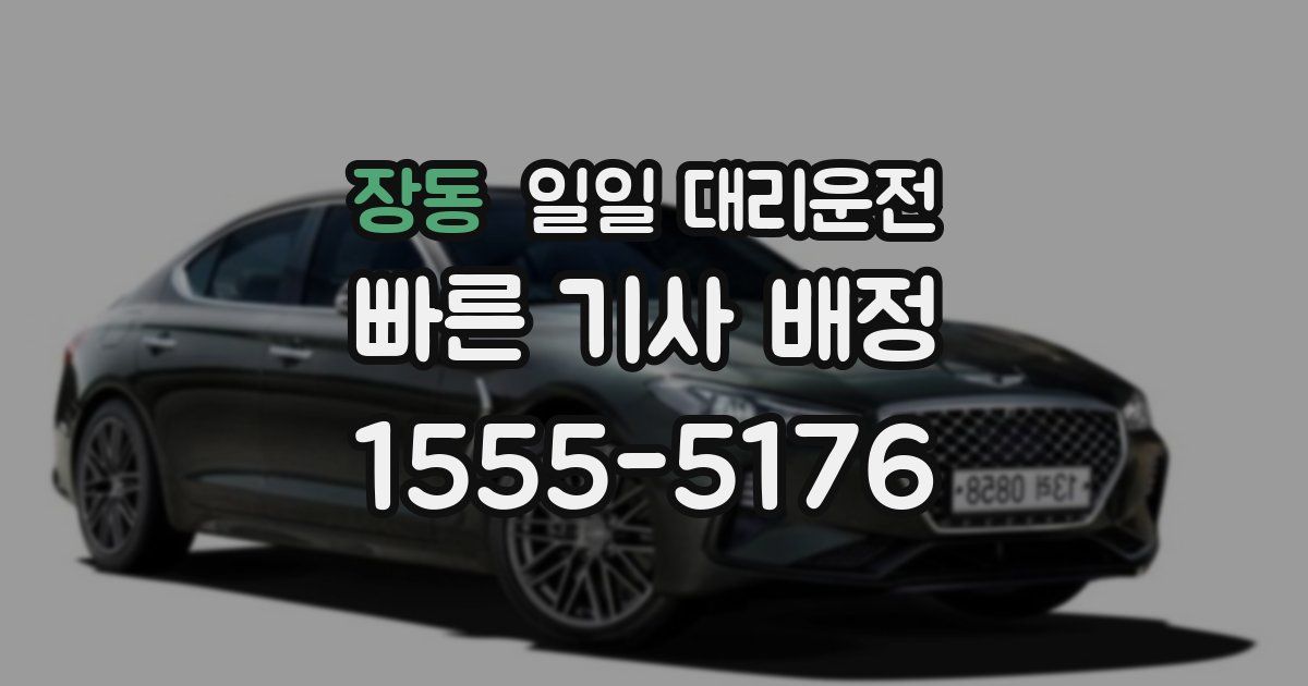 장동 일일 대리운전
