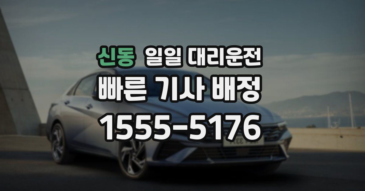 신동 일일 대리운전