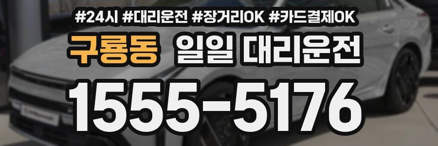 구룡동 일일 대리운전