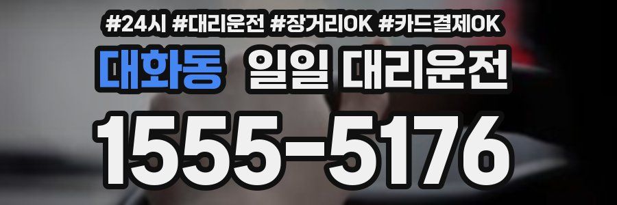 대화동 일일 대리운전