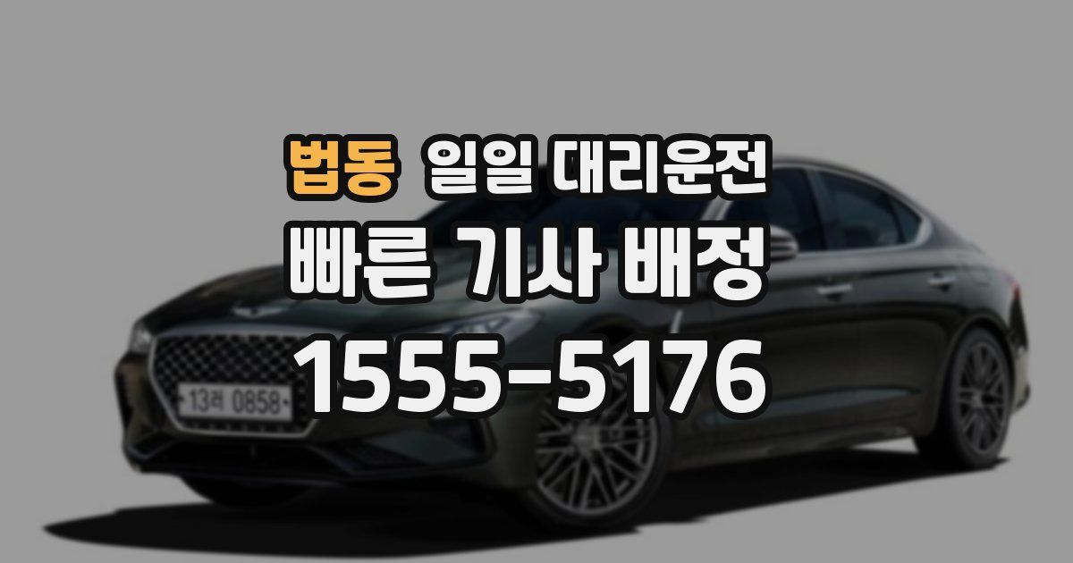 법동 일일 대리운전