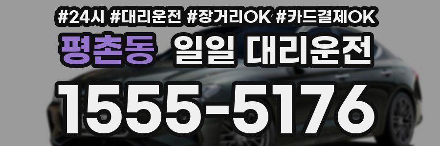 평촌동 일일 대리운전