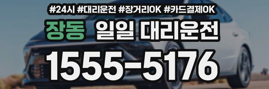 장동 일일 대리운전