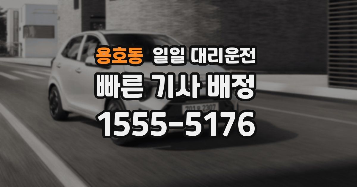 용호동 일일 대리운전