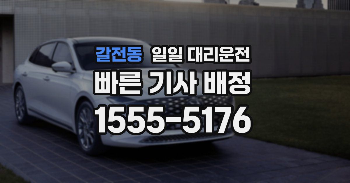 갈전동 일일 대리운전