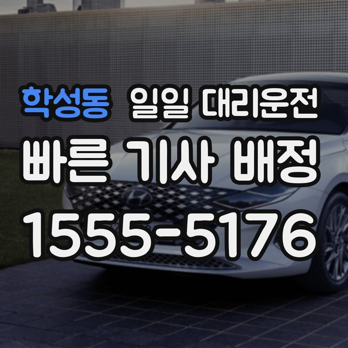 학성동 일일 대리운전