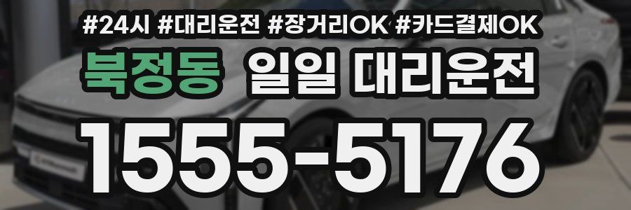 북정동 일일 대리운전