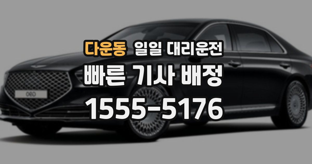 다운동 일일 대리운전