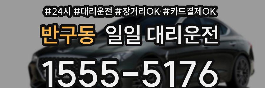 반구동 일일 대리운전
