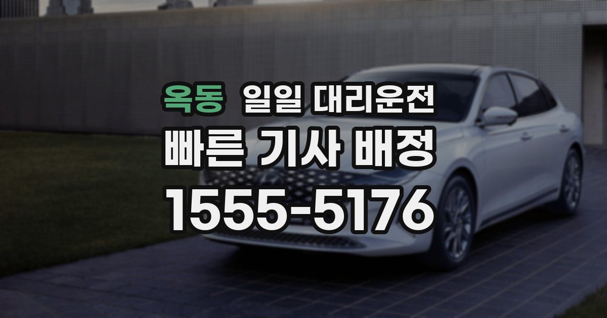옥동 일일 대리운전