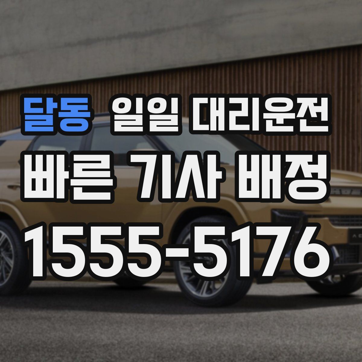 달동 일일 대리운전