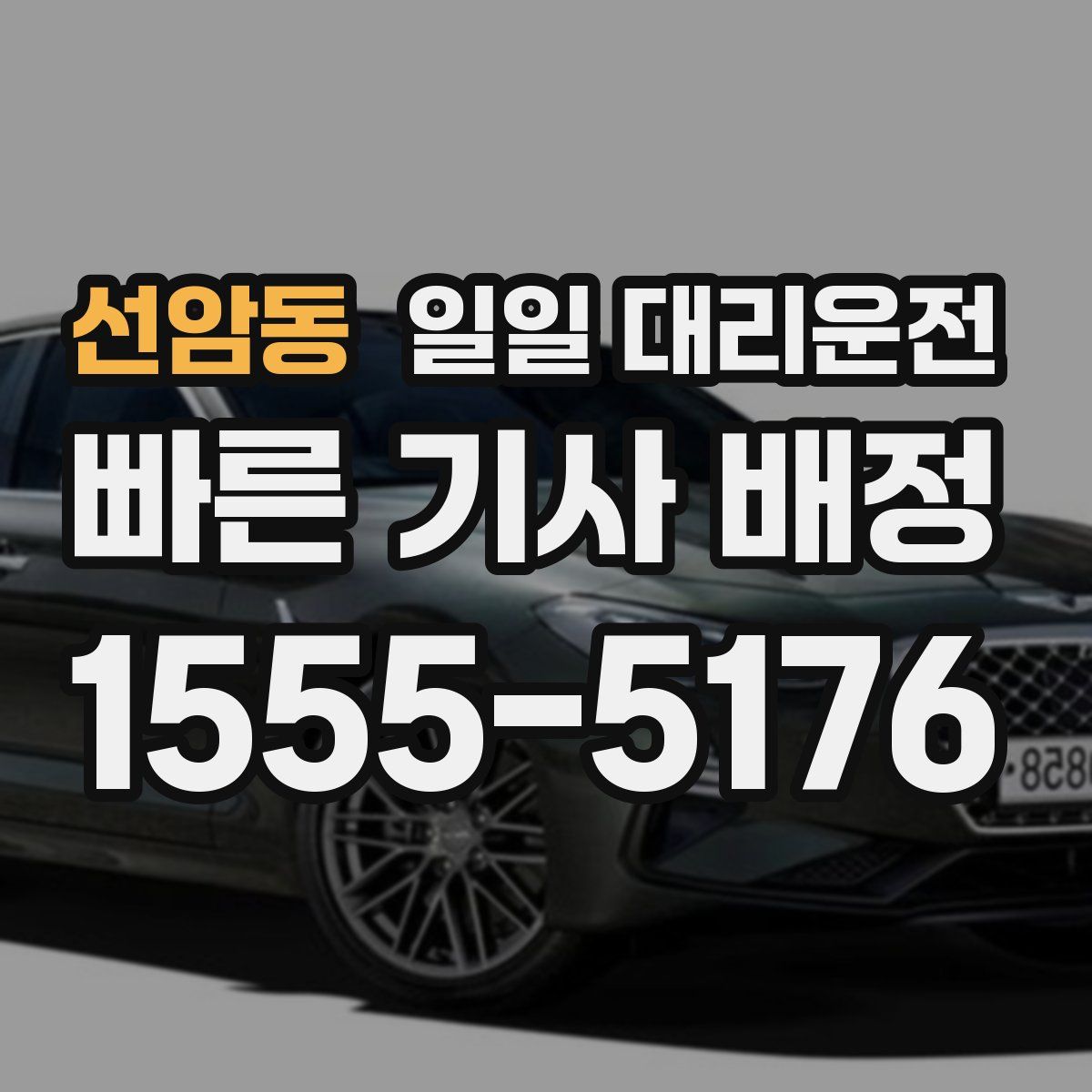 선암동 일일 대리운전