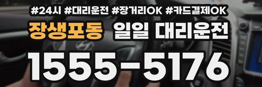 장생포동 일일 대리운전