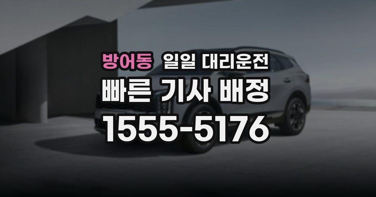 방어동 일일 대리운전