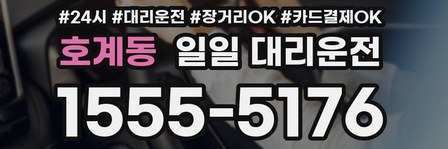 호계동 일일 대리운전