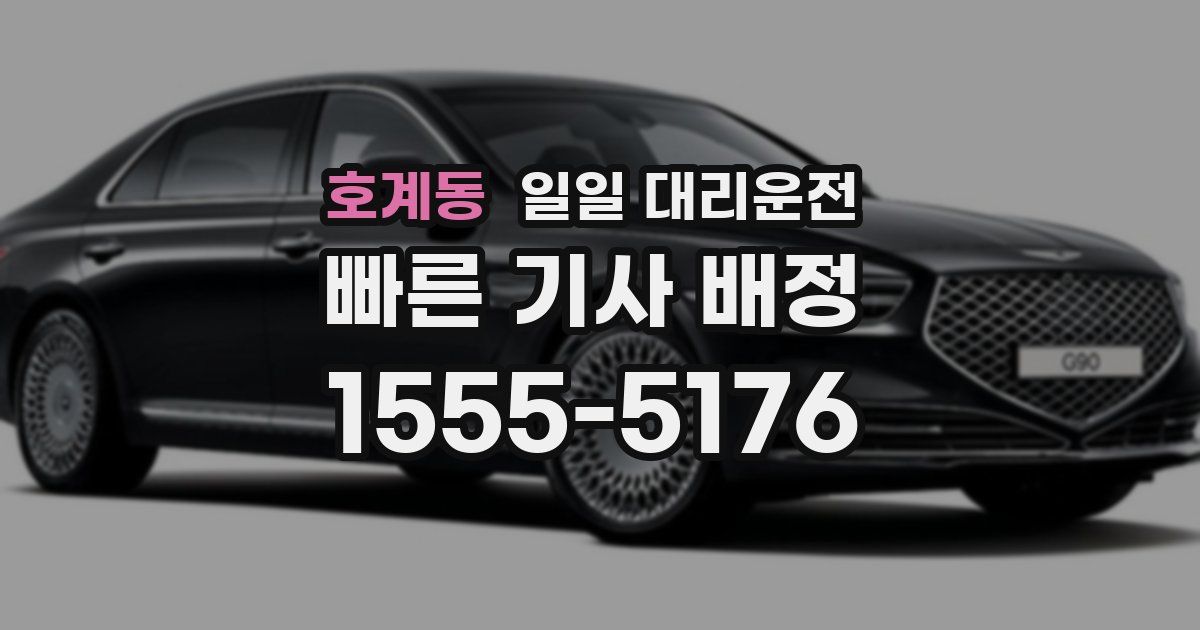 호계동 일일 대리운전