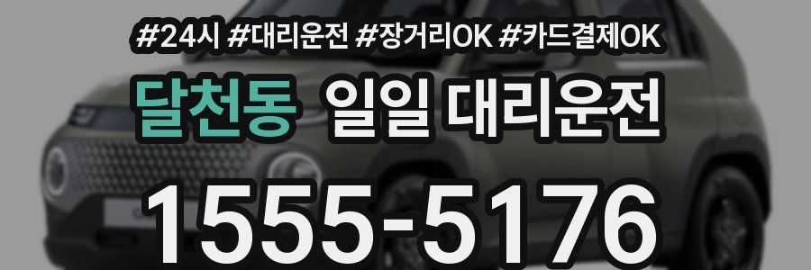 달천동 일일 대리운전