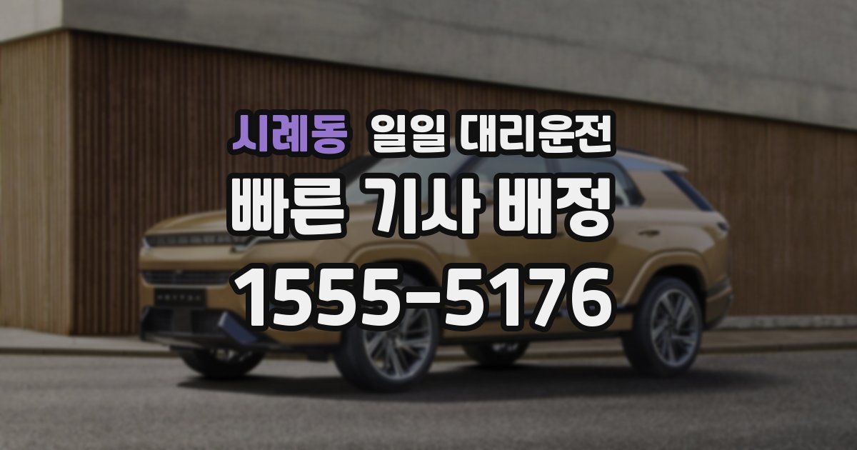 시례동 일일 대리운전