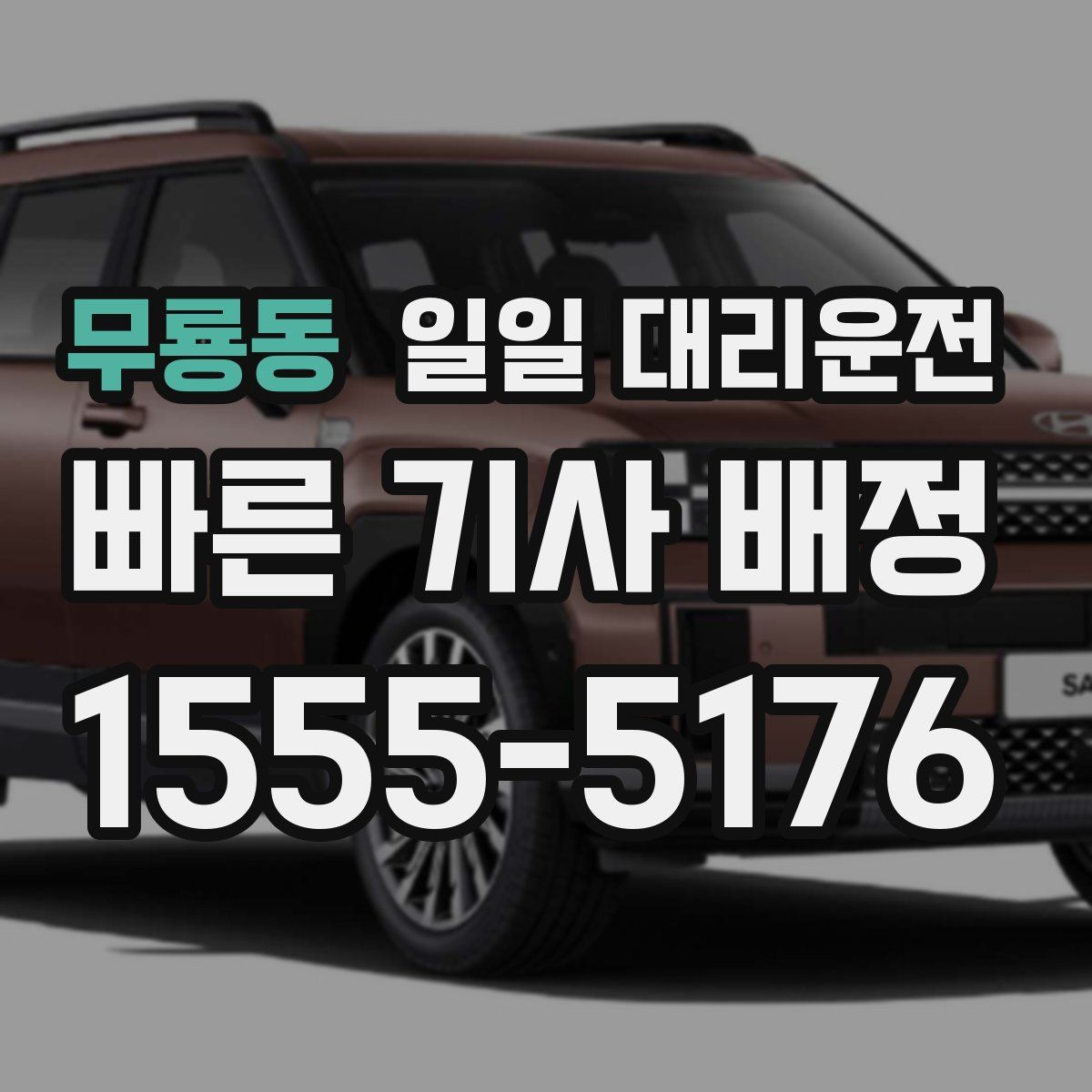 무룡동 일일 대리운전