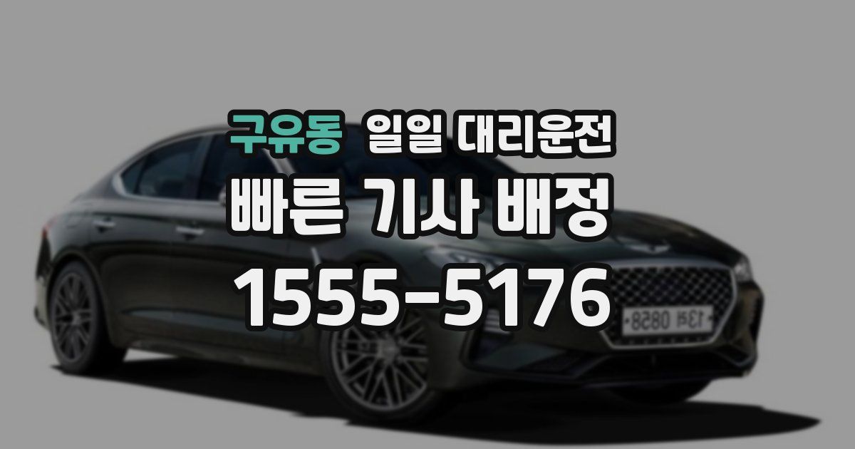 구유동 일일 대리운전