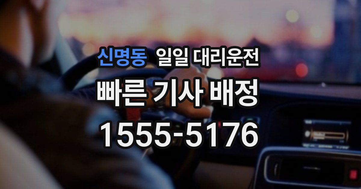신명동 일일 대리운전