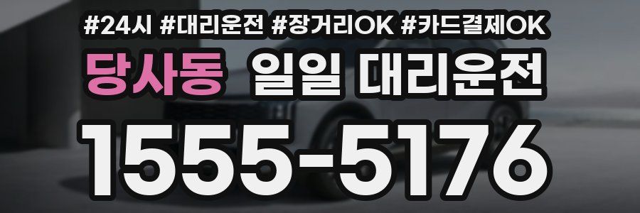 당사동 일일 대리운전