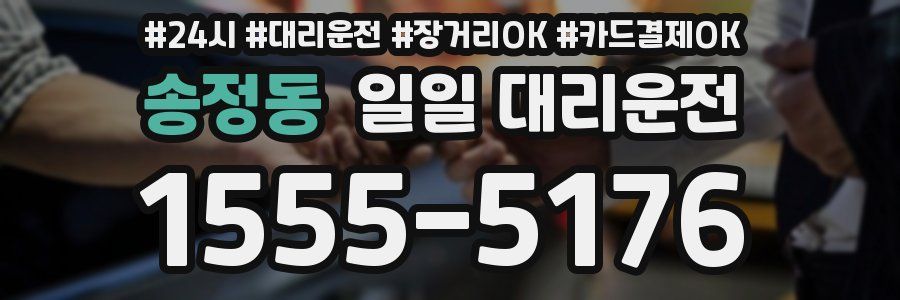 송정동 일일 대리운전