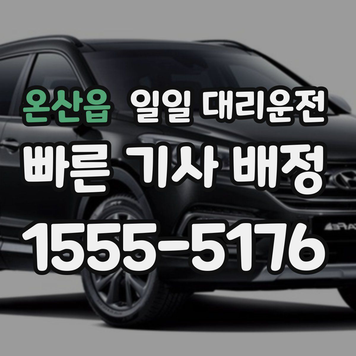 온산읍 일일 대리운전