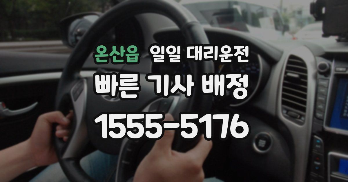 온산읍 일일 대리운전