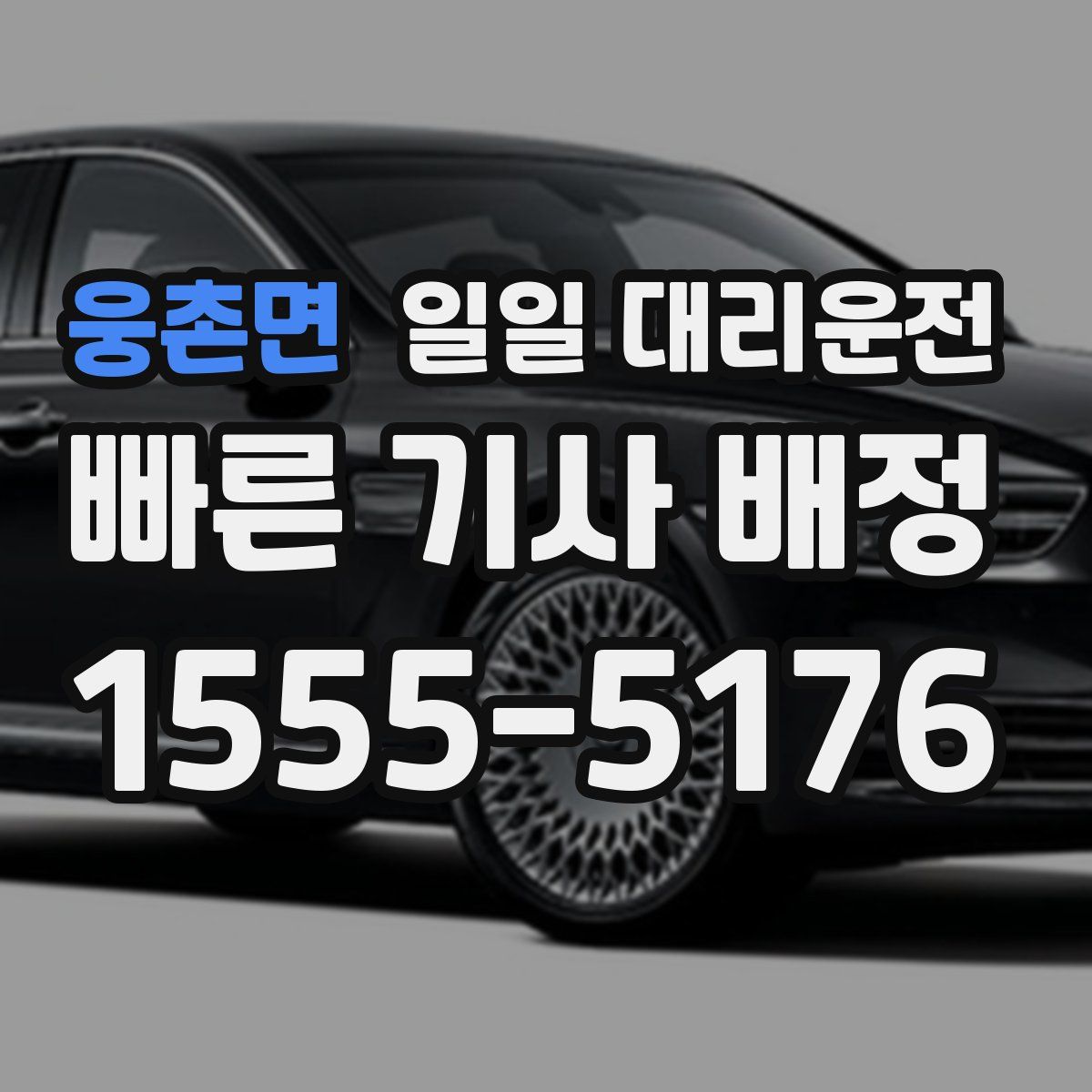 웅촌면 일일 대리운전