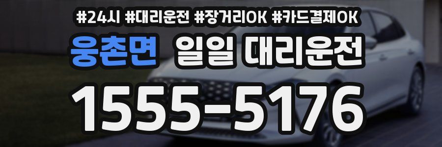 웅촌면 일일 대리운전