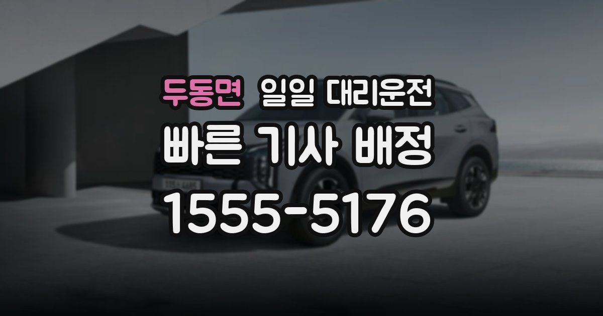 두동면 일일 대리운전