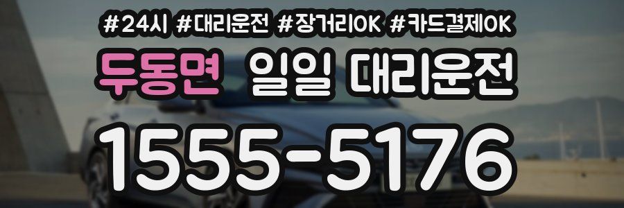 두동면 일일 대리운전