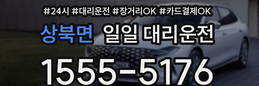 상북면 일일 대리운전