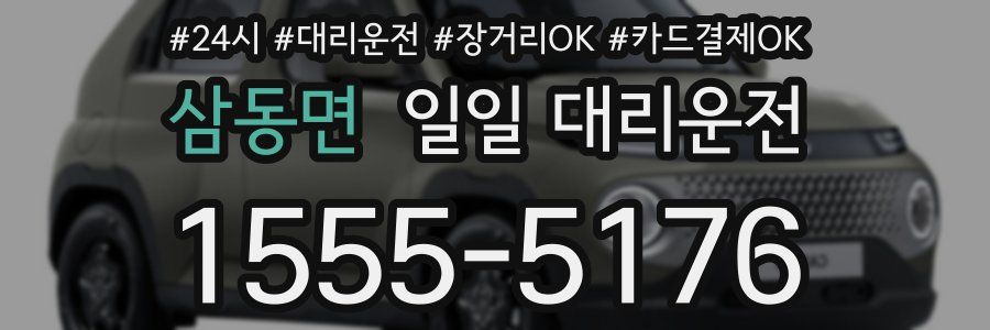 삼동면 일일 대리운전
