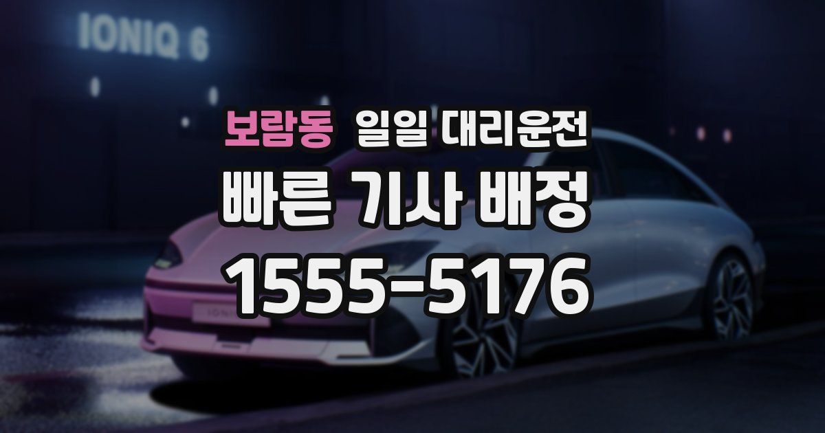 보람동 일일 대리운전