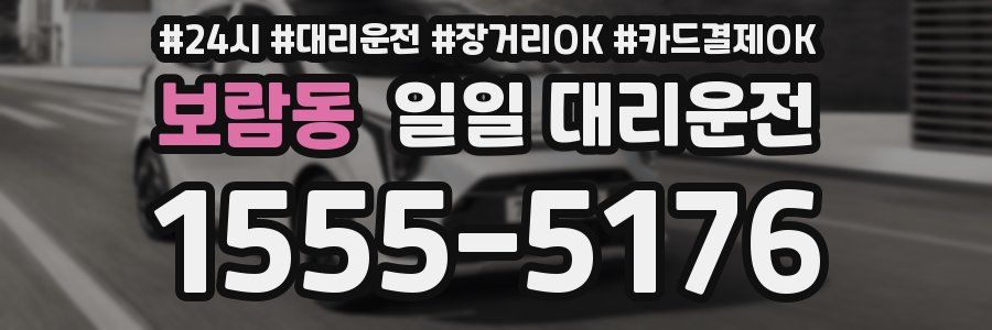 보람동 일일 대리운전