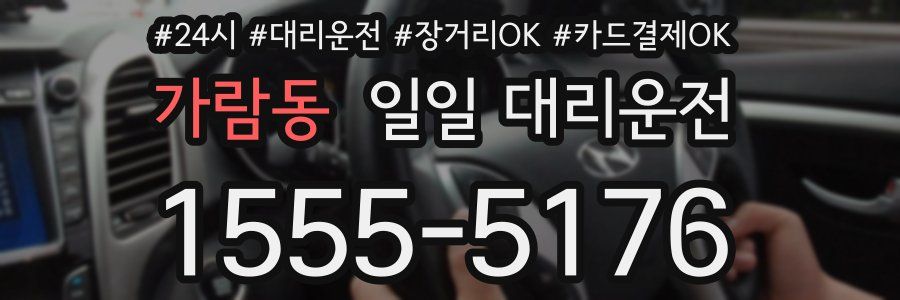 가람동 일일 대리운전