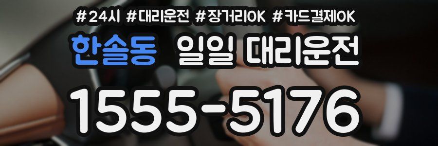 한솔동 일일 대리운전