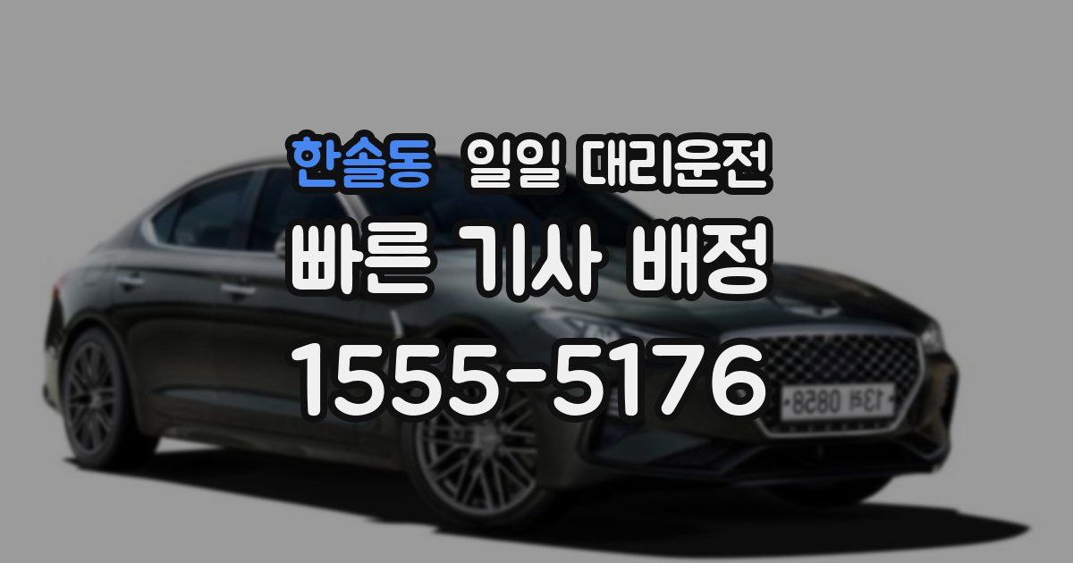 한솔동 일일 대리운전