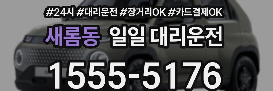 새롬동 일일 대리운전